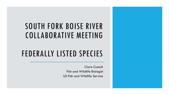 south fork boise river collaborative meeting n.w