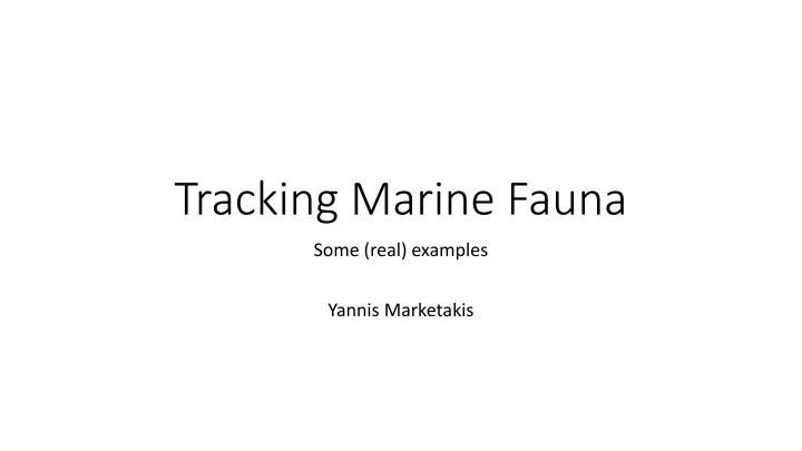 tracking marine fauna n.w