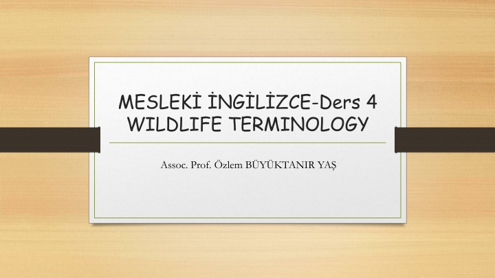 meslek ng l zce ders 4 wildlife terminology n.w