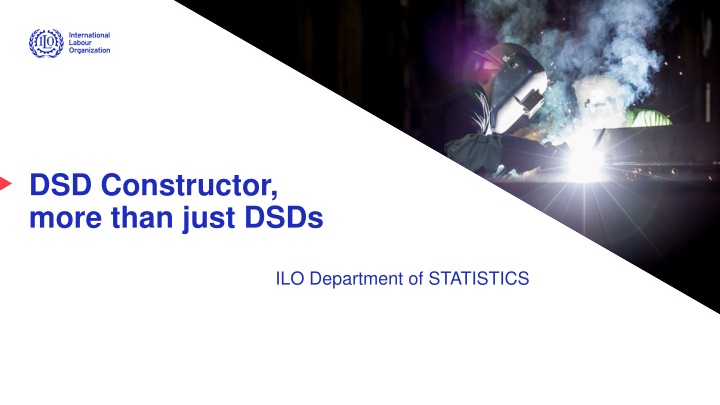 dsd constructor more than just dsds n.w
