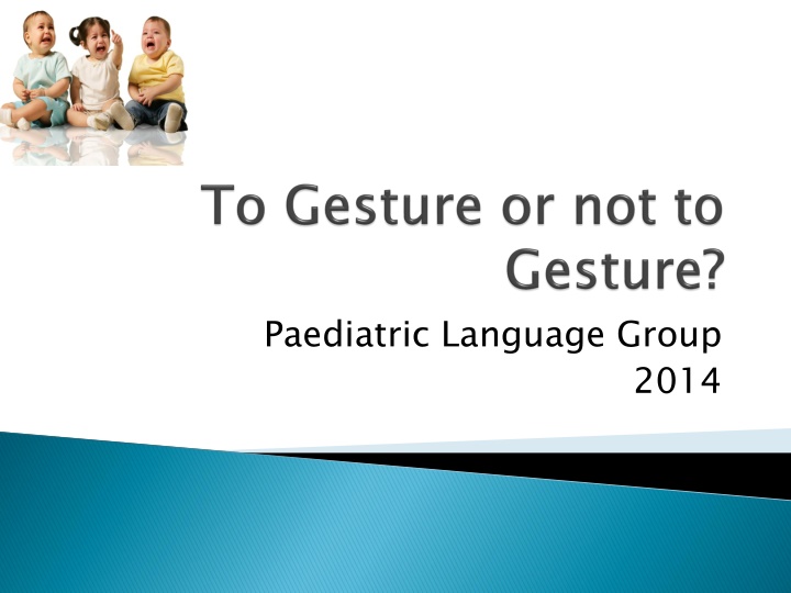 paediatric language group n.w