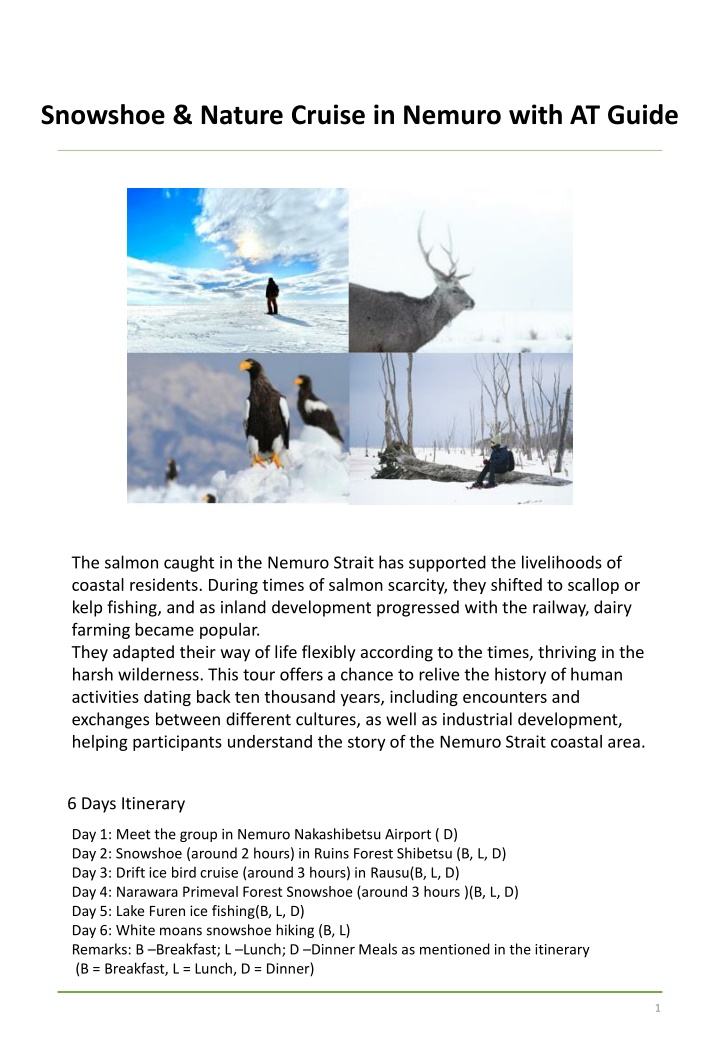 snowshoe nature cruise in nemuro with at guide n.w