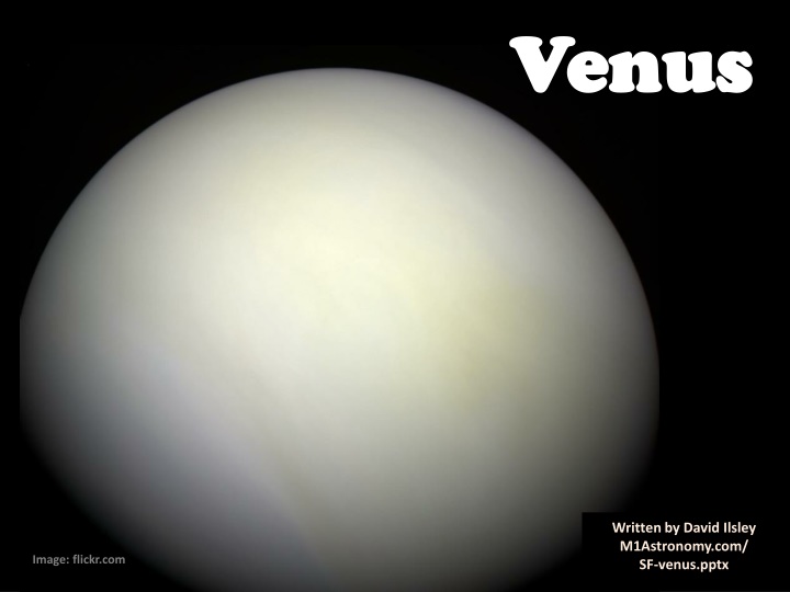 venus venus n.w