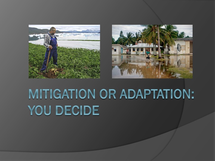 mitigation or adaptation mitigation or adaptation n.w