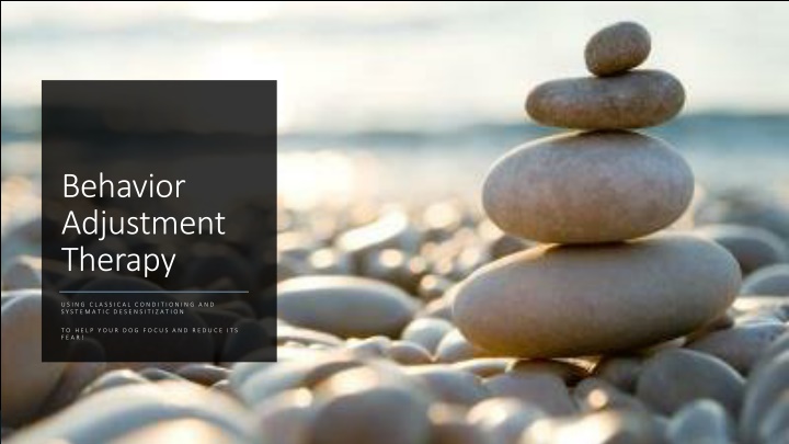 behavior adjustment therapy n.w