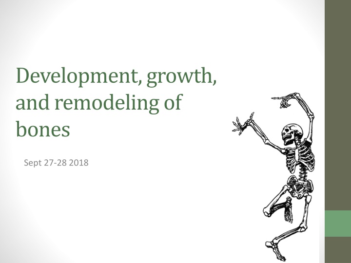 development growth and remodeling of bones n.w