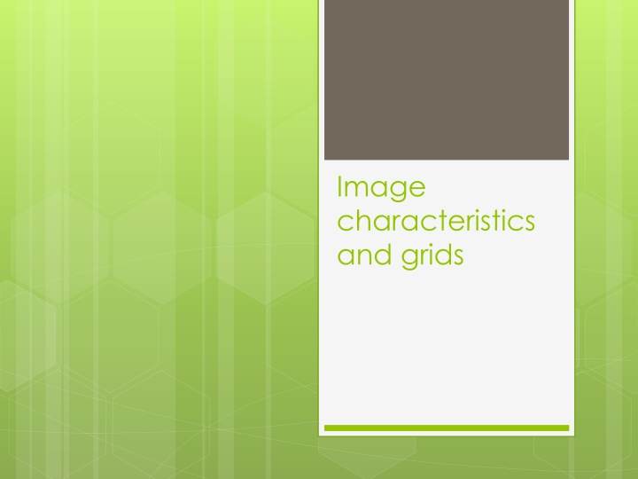 image characteristics and grids n.w