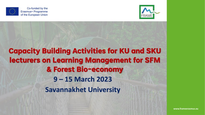 capacity building activities n.w