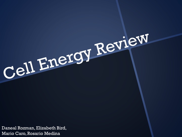 daneal rozman elizabeth bird mario caro rosario n.w