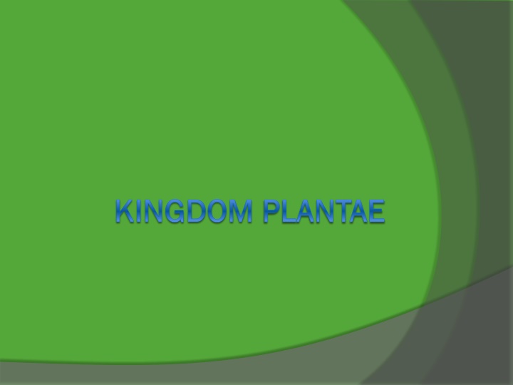 kingdom kingdom plantae n.w