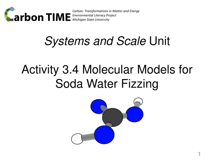 Molecular Models for Soda Water Fizzing Activity