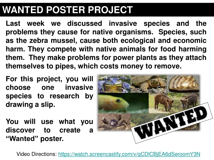 wanted poster project n.w