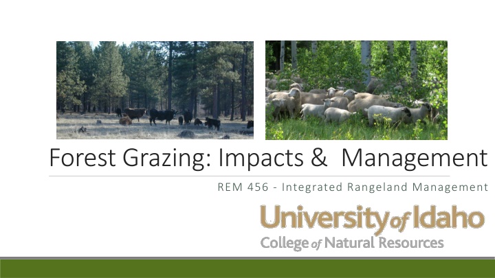 forest grazing impacts management n.w