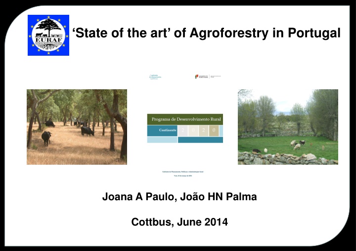 state of the art of agroforestry in portugal n.w