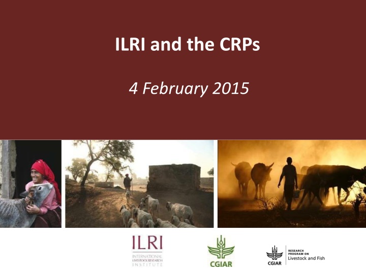 ilri and the crps n.w
