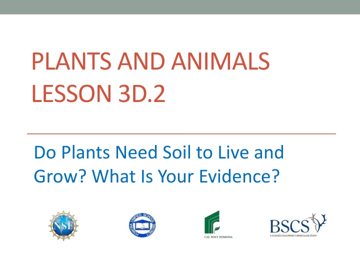 plants and animals lesson 3d 2 n.w