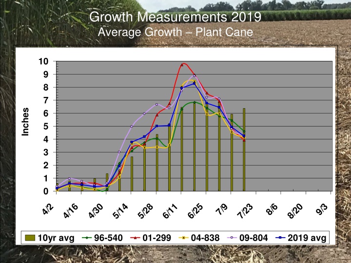 growth measurements 2019 average growth plant cane n.w