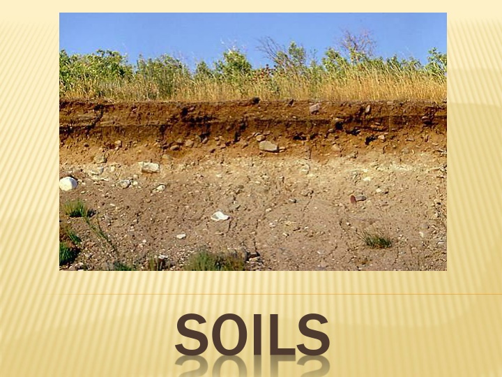 soils n.w