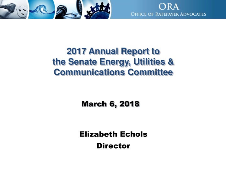 2017 annual report to the senate energy utilities n.w