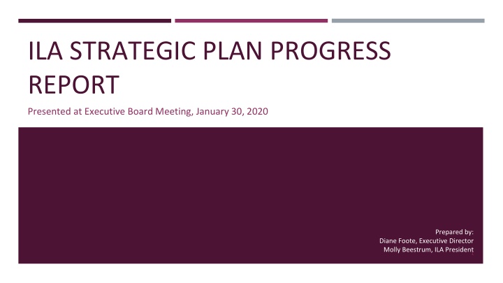 ila strategic plan progress report n.w