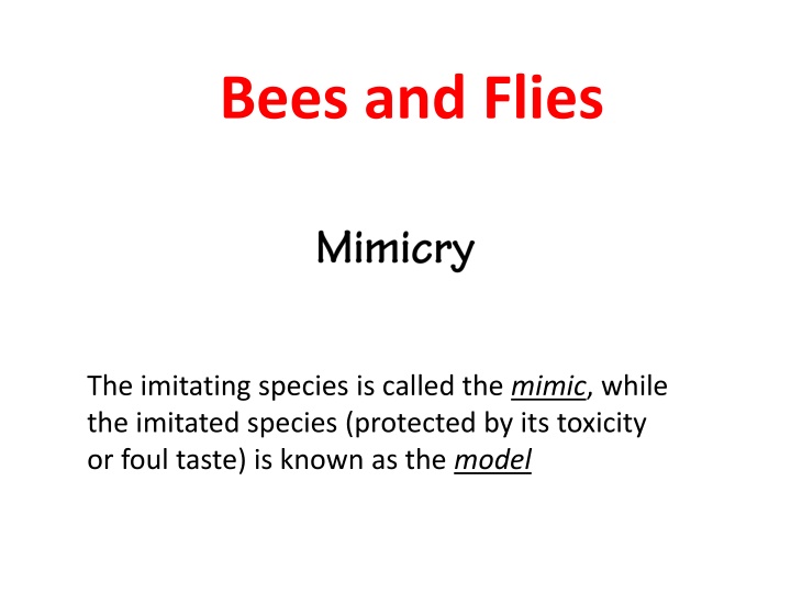 Bees and Flies: Imitation in Nature