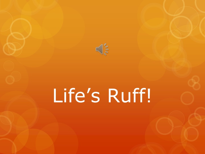 life s ruff n.w