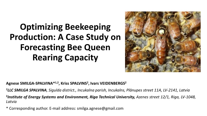 optimizing beekeeping production a case study n.w