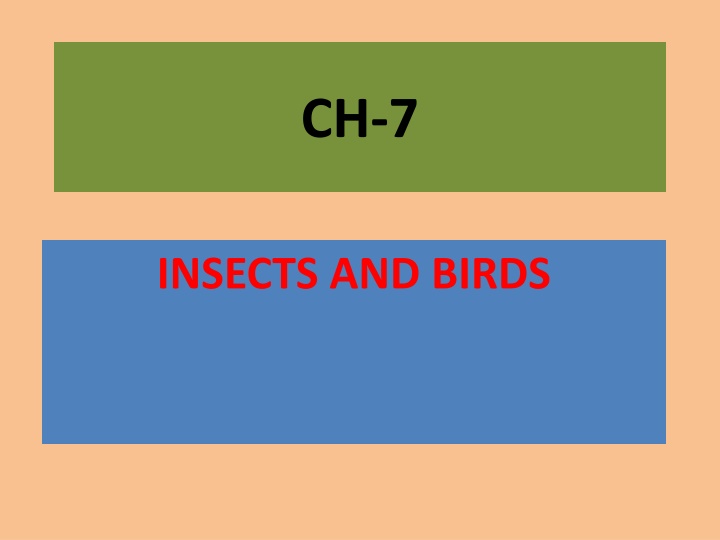 slide1 n.w