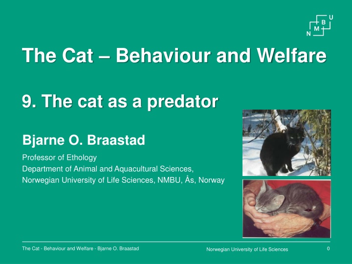 the cat behaviour and welfare n.w
