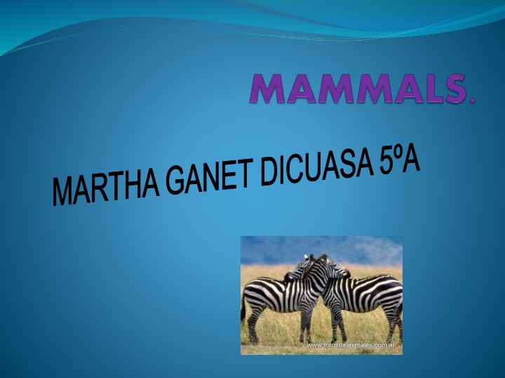 martha ganet dicuasa 5 a n.w