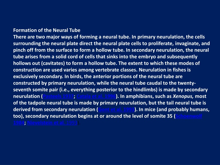 formation of the neural tube there are two major n.w