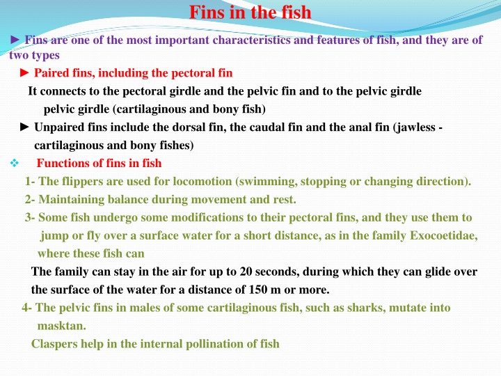 fins in the fish n.w