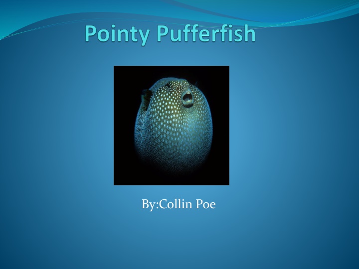 by collin poe n.w