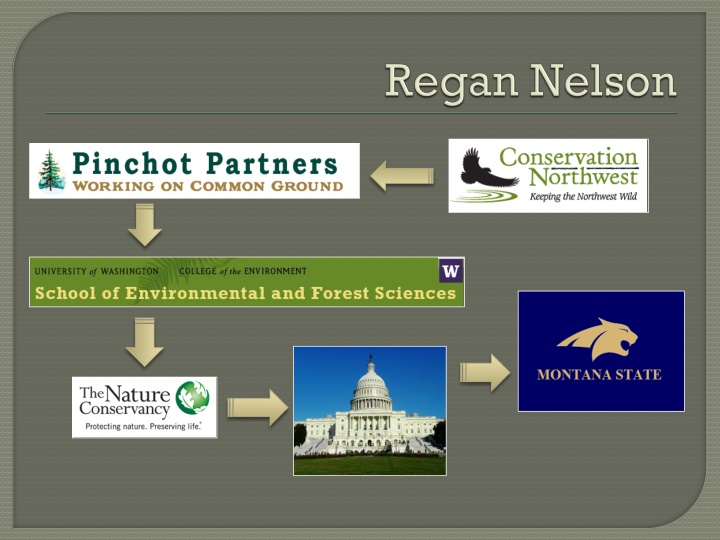 slide1 n.w