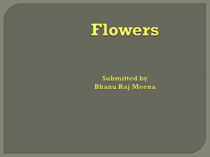 slide1 n.w