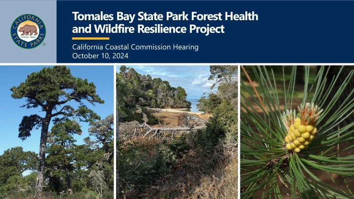 tomales bay state park forest health and wildfire n.w
