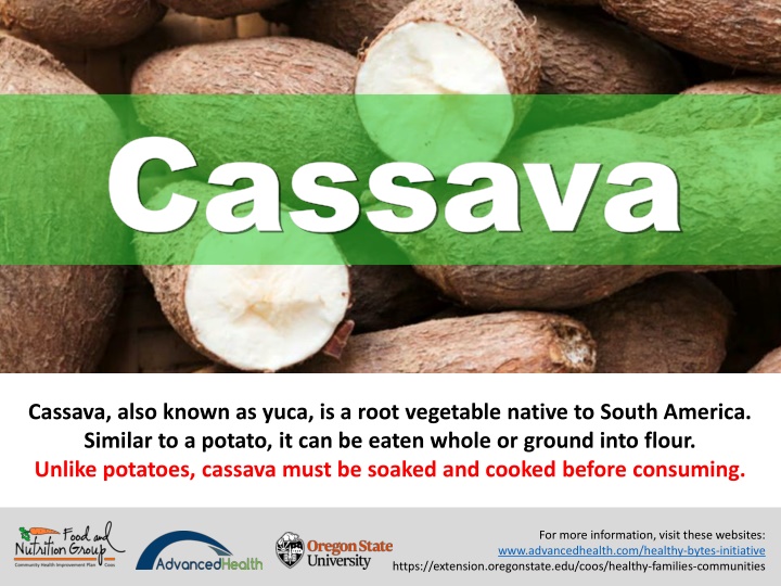 cassava cassava n.w