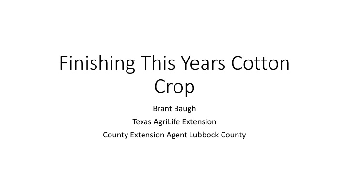 finishing this years cotton crop n.w