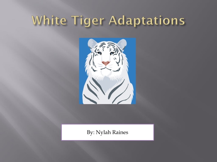 by nylah raines n.w