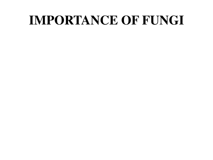 importance of fungi n.w