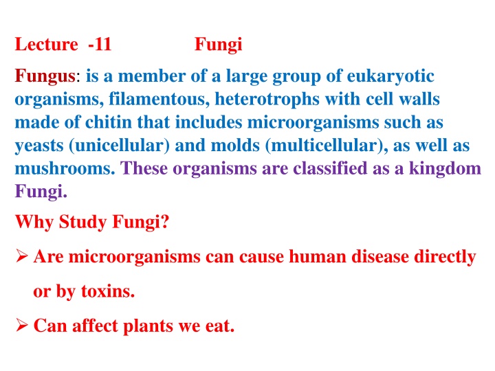 lecture 11 fungi fungus is a member of a large n.w