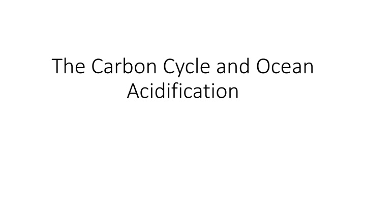 the carbon cycle and ocean acidification n.w