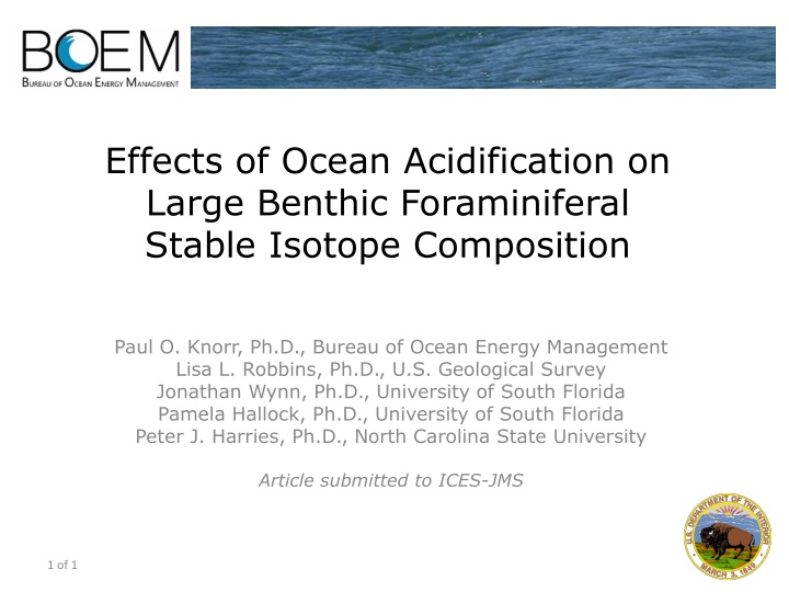 effects of ocean acidification on large benthic n.w