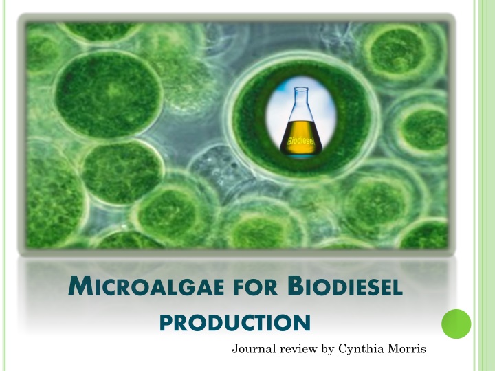 m icroalgae for b iodiesel production journal n.w