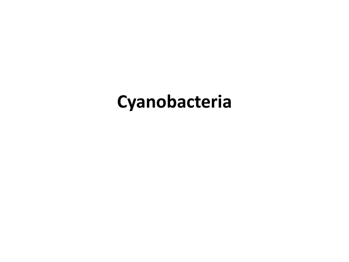 cyanobacteria n.w