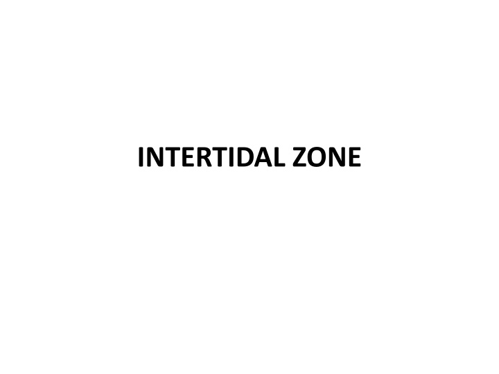 intertidal zone n.w