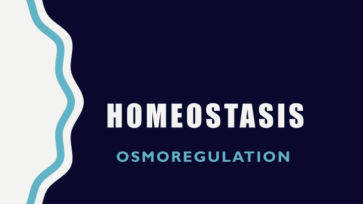 homeostasis n.w