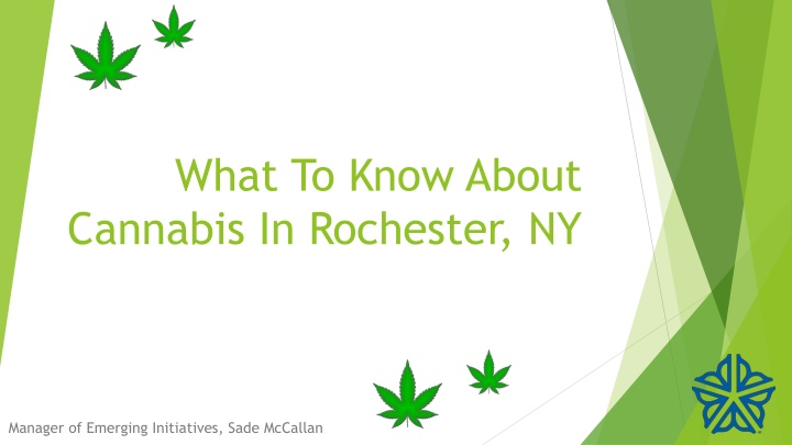 what to know about cannabis in rochester ny n.w
