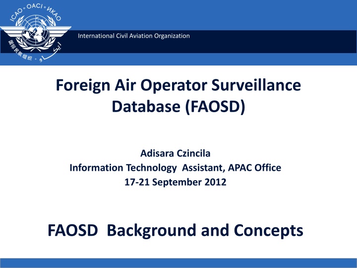 international civil aviation organization n.w