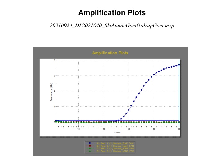 amplification plots n.w